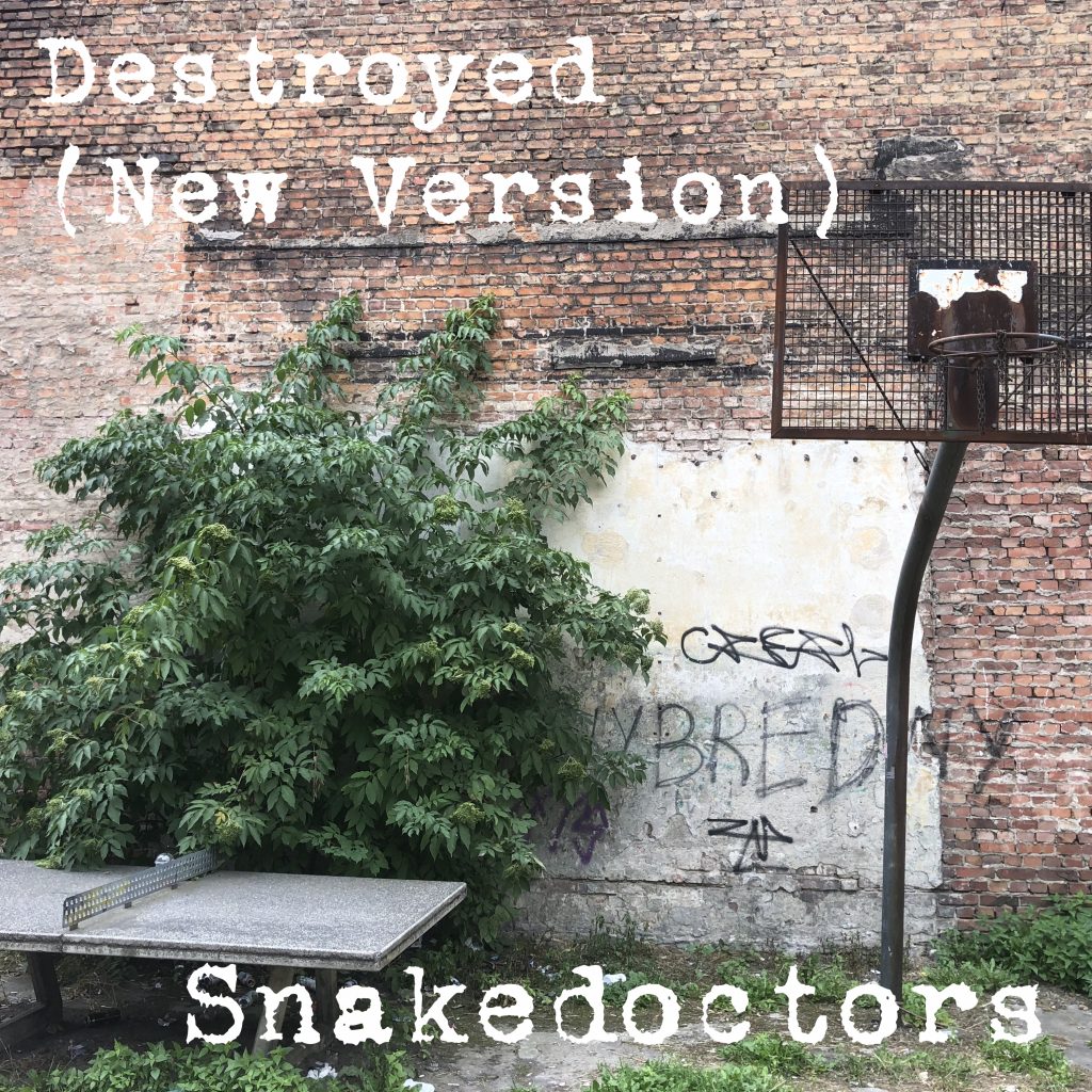 Snakedoctors with Destroyed