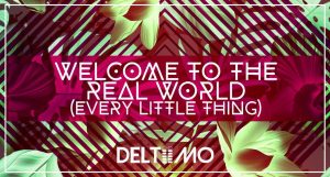 Deltiimo Welcome The Real World Every Little Thing